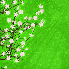 Obraz na płótnie Canvas Spring floral card
