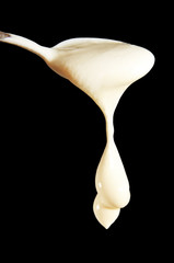 thick cream.