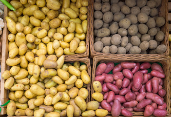 Different kinds of potatoes