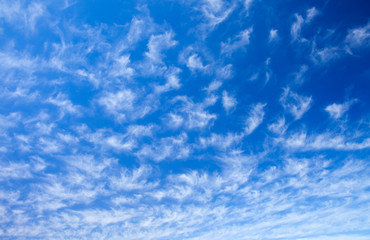 sky with cirrocumulus  clouds - obrazy, fototapety, plakaty