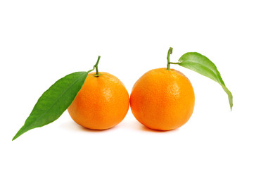 Tangerine isolated