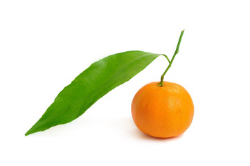 Tangerine isolated