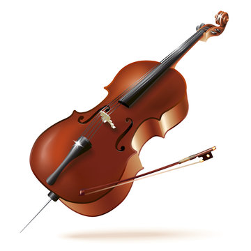 Classical cello, isolated in white background