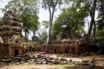 Temples of Angkor