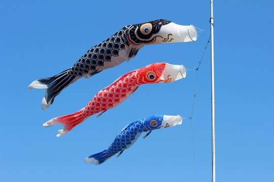 Koinobori の画像 11 774 件の Stock 写真 ベクターおよびビデオ Adobe Stock