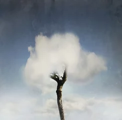 Fototapete Rund Tree  in the cloud © vali_111