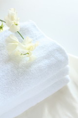 Obraz na płótnie Canvas sweet pea on white towel for house keeping image