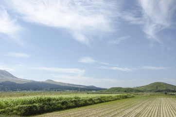 田舎の風景