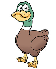 Vector illustration of duck cartoon