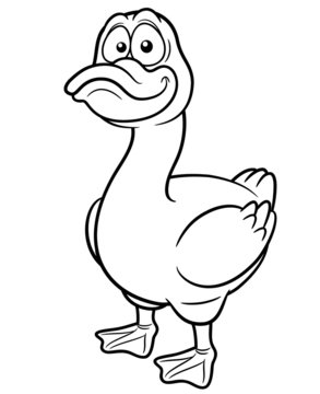 Vector illustration of duck cartoon - Coloring book
