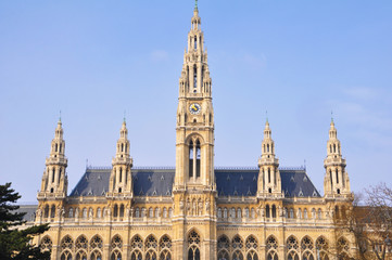 Obraz premium Rathaus in Wien, Österreich