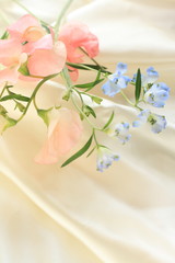 pink sweet pea and delphinium on silk for background image