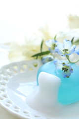 Fototapeta na wymiar Delphinium and herb soap with bubbles for beauty image