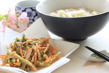 japanese cuisine, burdock and carrot tempura Kakiage