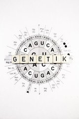 Genetik
