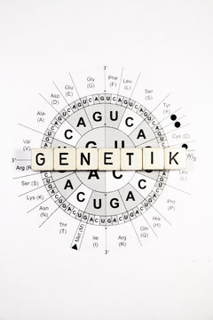 Genetik