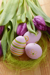 easter eggs  and tulip