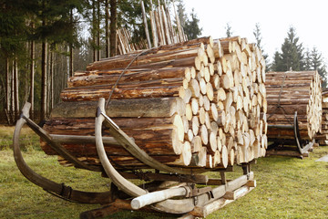 Holz Zugschlitten