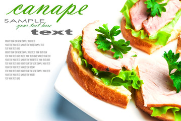 Canapes on a plate with place for your text.