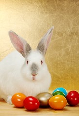 Bunny with Easter eggs