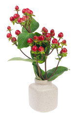 minimalistic  bouquet  - mini red  berries on branches