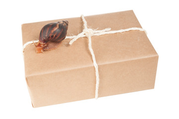 Schneckenpost - Paket