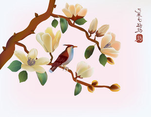 Blooming magnolia in spring, a bird sitting on a branch.