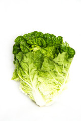 green fresh lettuce