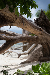 Plage Anse source d'argent à La Digue aux Seychelles