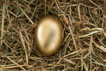 Golden egg in the straw