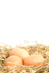 Three eggs nestled in straw nest