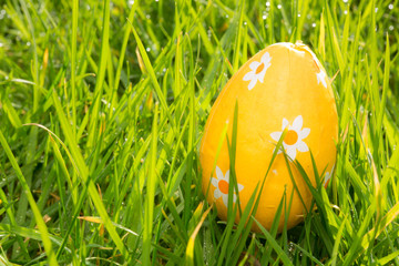 Fototapeta premium Orange easter egg in the grass