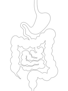 Schwarze Outline eines Magen-Darm-Trakts – Vektor