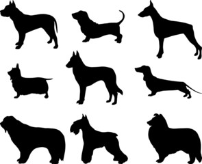 silhouettes of dogs