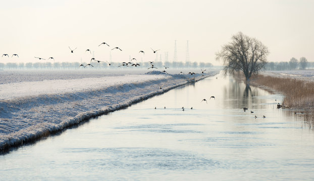 Canal through the countryside in winter