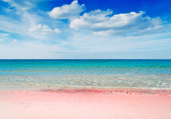 różowa plaża - 50403196