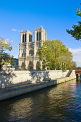 Fototapeta na wymiar Kościół Notre Dame, Paryż, Francja