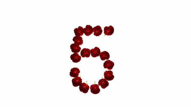 Countdown, Conto rovescia, intro, isolated, rose, matrimonio