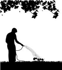Man gardener watering flowers, roses with hose silhouette © tinica10
