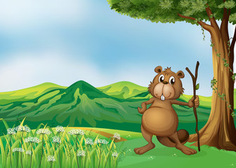 A beaver holding a stick under the tree © GraphicsRF