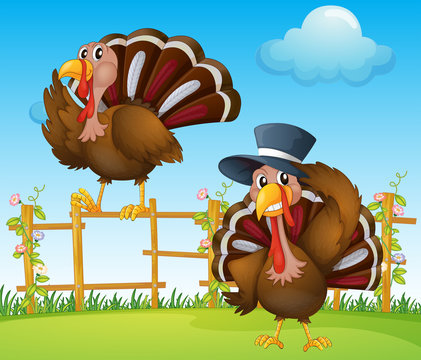 A turkey above the wooden fence and a turkey wearing a hat