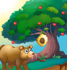 A bear looking at the beehive hanging in an apple tree