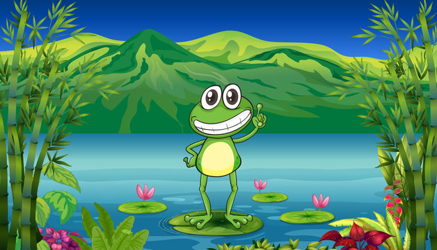 A frog standing above a water lily