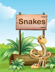 Photo sur Plexiglas Zoo Deux serpents à côté d& 39 un panneau en bois