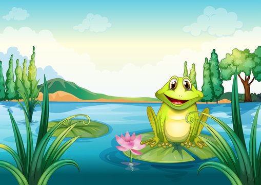 A happy frog above a water lily