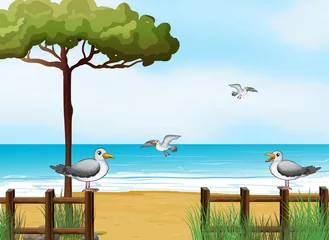 Fototapeten Vögel auf der Suche nach Nahrung am Strand © GraphicsRF