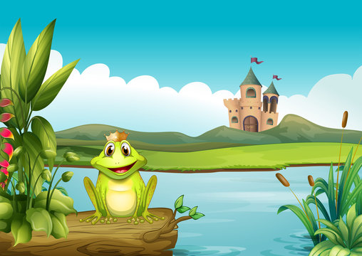 A frog with a crown at the river