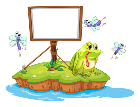 A sad frog and a white blank board