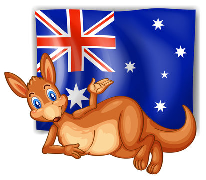 A kangaroo in front of the Australian flag