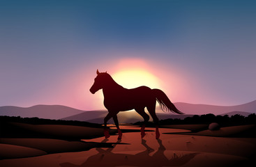 A sunset with a horse